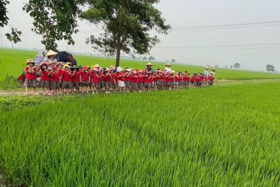 CÁC CON HỌC SINH LỚP 5TG THĂM QUAN CÁNH ĐỒNG LÚA NON
